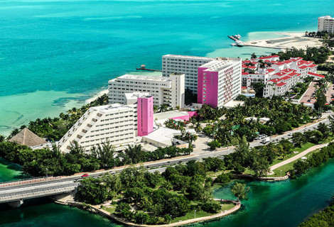 OASIS PALM_1
