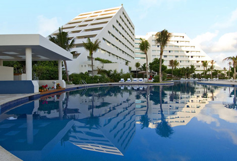 OASIS PALM_2