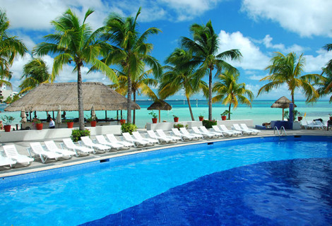 OASIS PALM_4